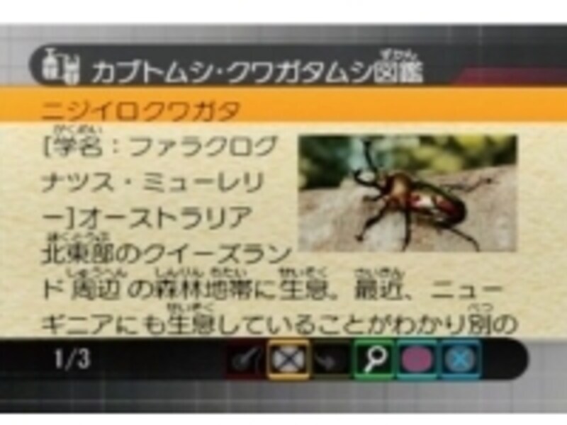 カブトムシの図鑑モード。恐竜図鑑や世界のランキングベストテンなどの情報も搭載