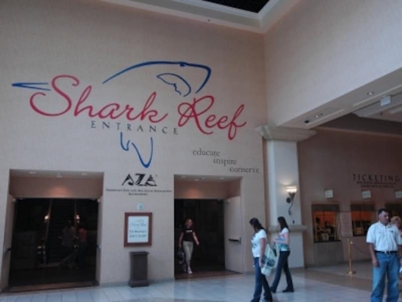 ラスベガス最大の水族館