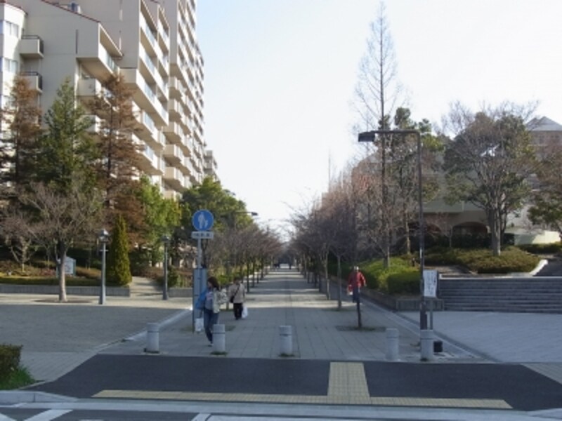 西神南、遊歩道