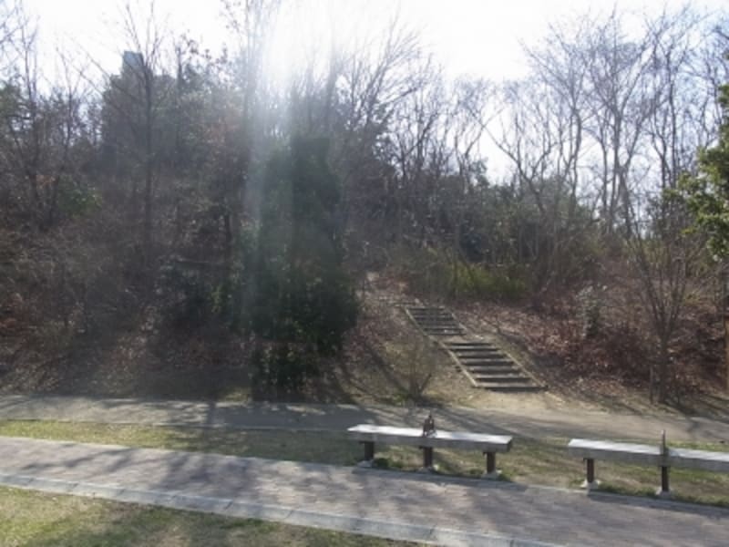 井吹台思い出広場の里山、西神南