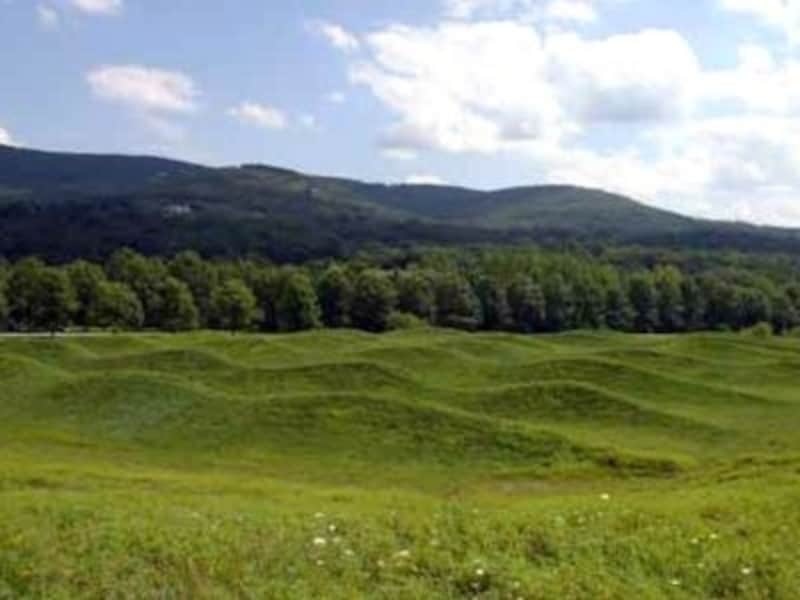 草の香りに癒されながら昼食を