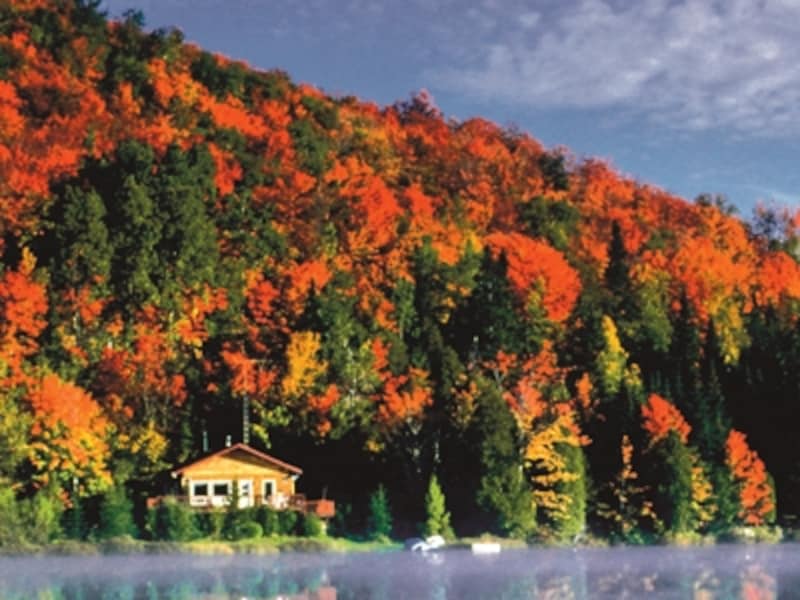 紅葉の見ごろは9月下旬から10月初旬 (C) Tourism Quebec
