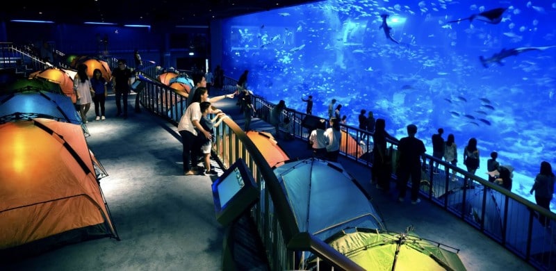 世界最大級の水族館「シー・アクアリウム™」