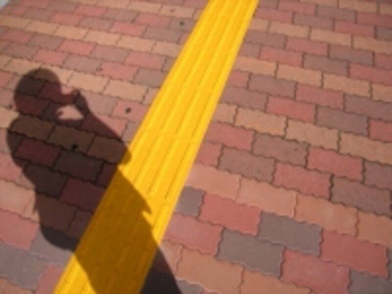 取材時の写真
