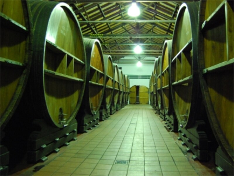 大きな木樽が並ぶ醸造所内は、歴史の重みを感じさせる