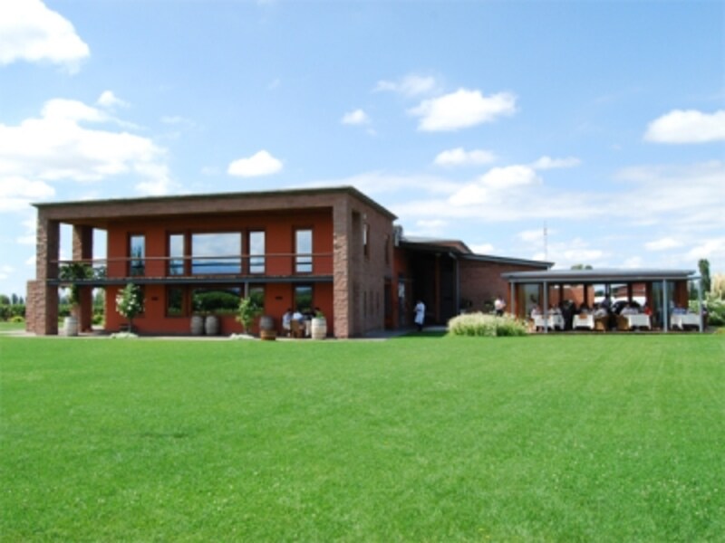 広い芝生を眺めながら、ワインと料理のマリアージュを楽しみたい