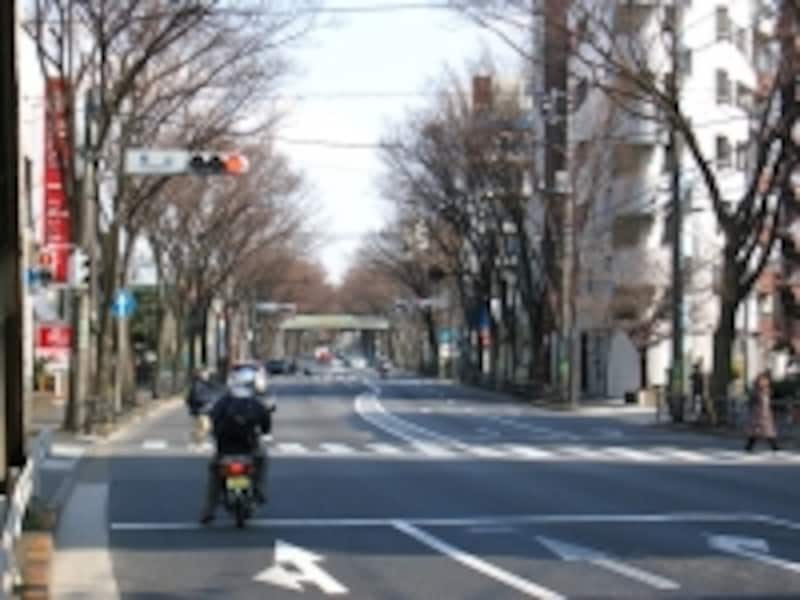 甲州街道