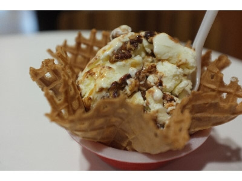 Finepix X100 実写画像1