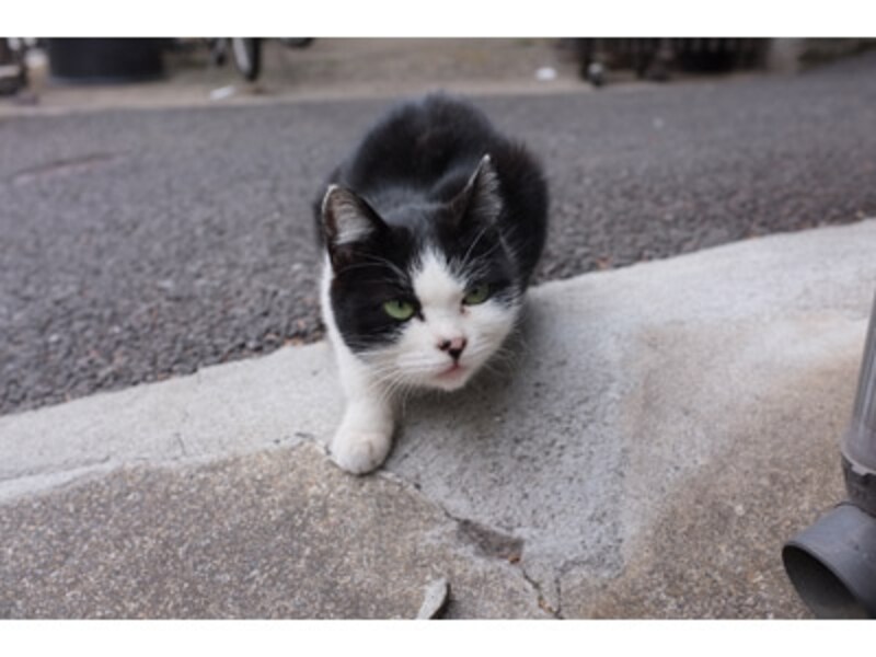 Finepix X100 実写画像3