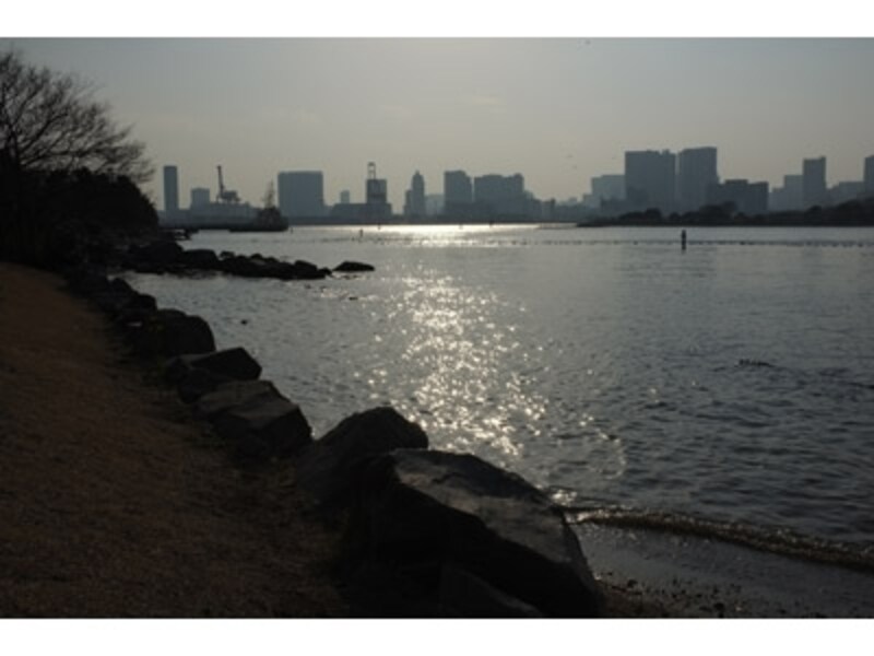 Finepix X100 実写画像7