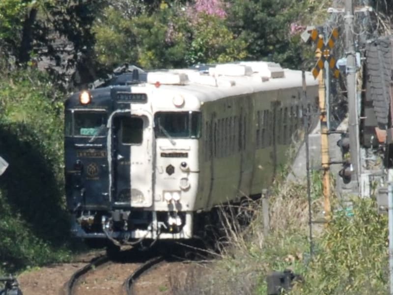 白い海側の車体