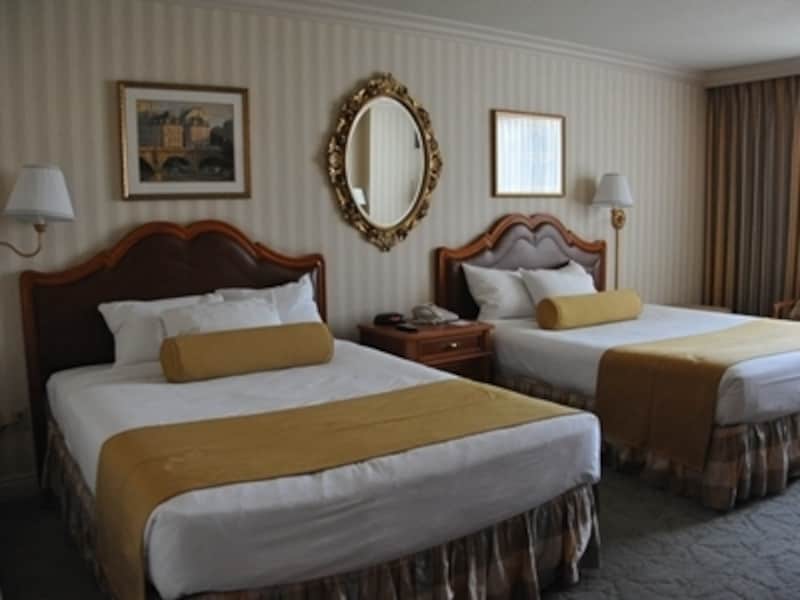 宮殿にいるような気分になれる部屋