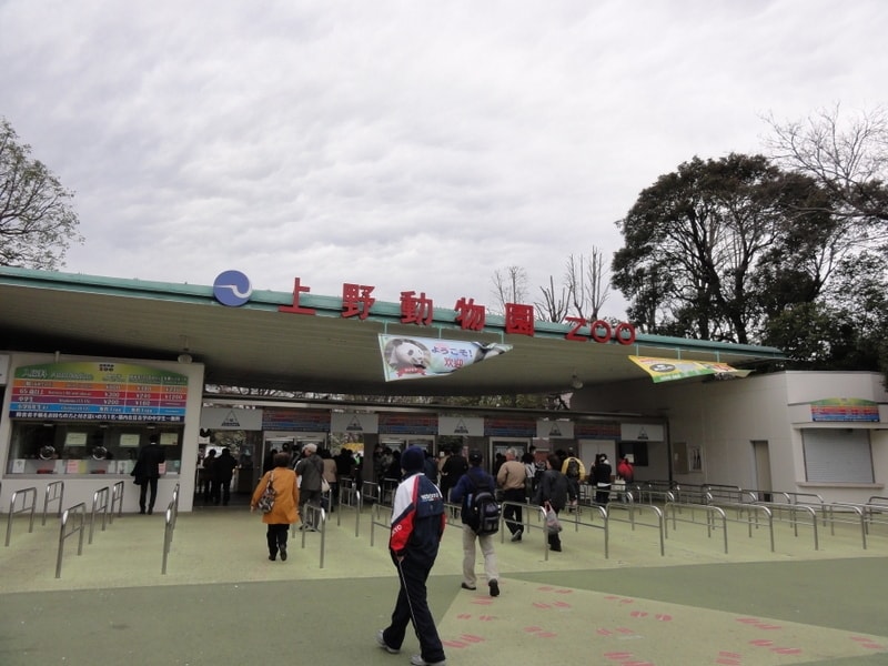 中に入ると、パンダ舎の前はちょっとした行列ができていた。