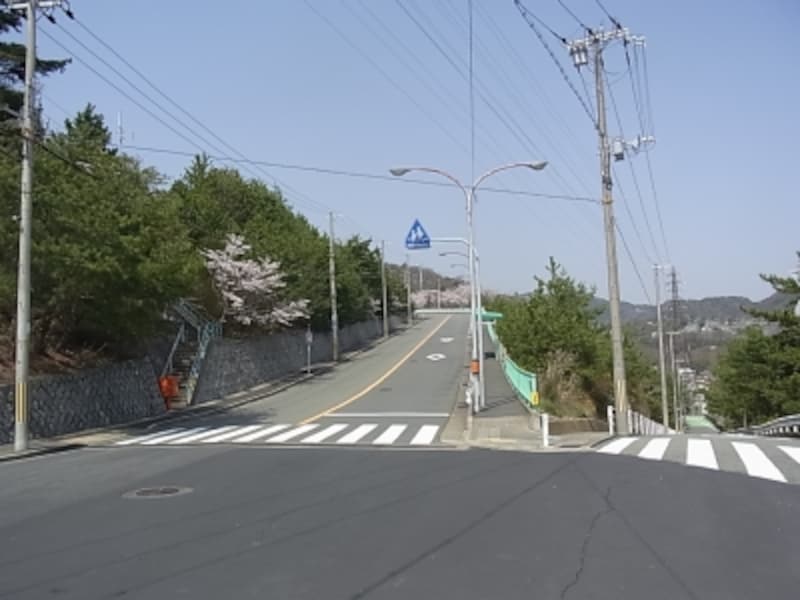 渦森団地と戸建て街の間の道