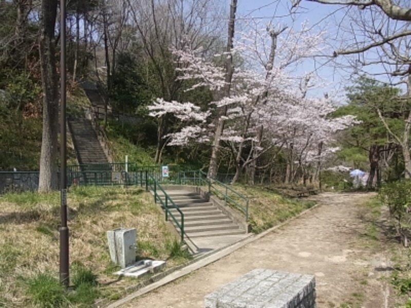 渦森台北部の公園
