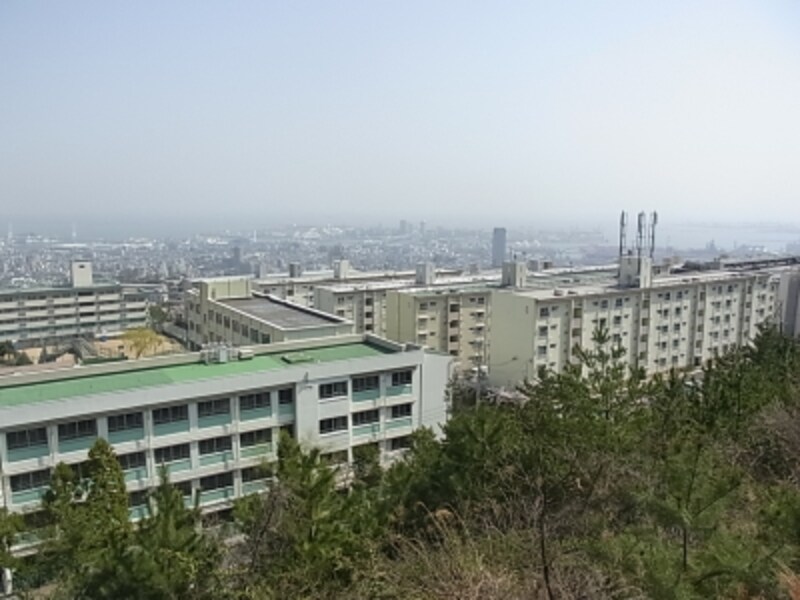 渦森団地の眺望