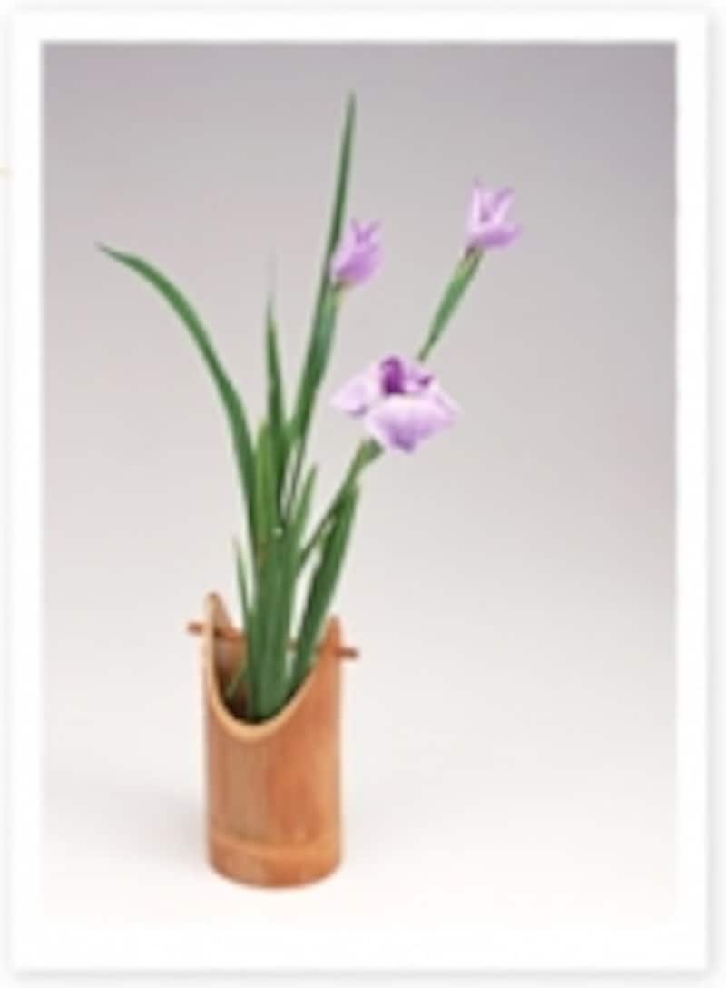 菖蒲
