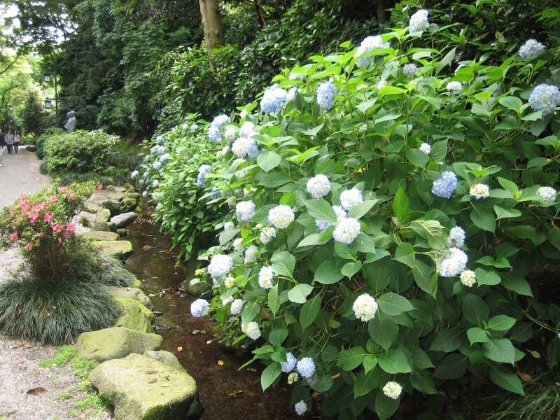 道沿いにはせせらぎが流れる