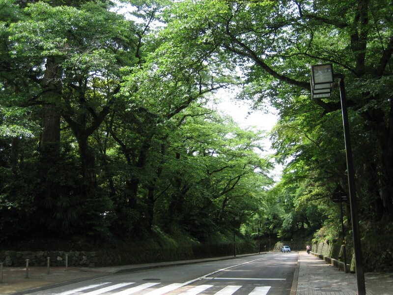 この坂を下れば広坂交差点
