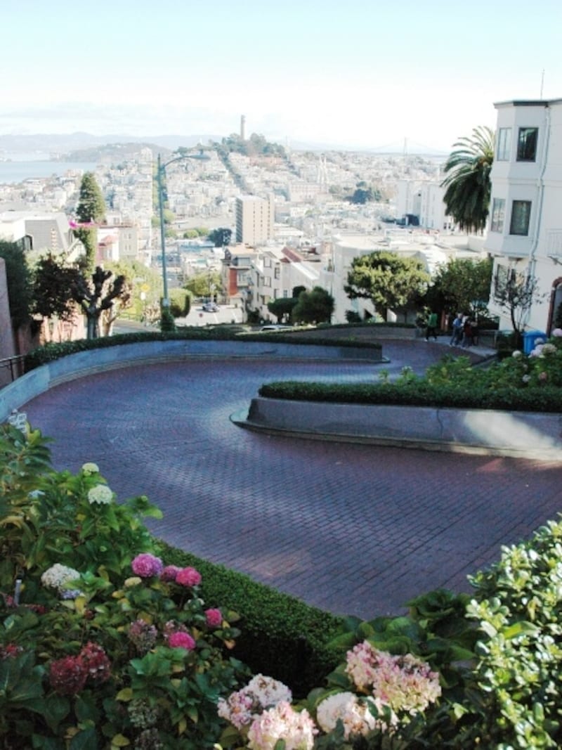 上から見ると傾斜とカーブでドキドキします！