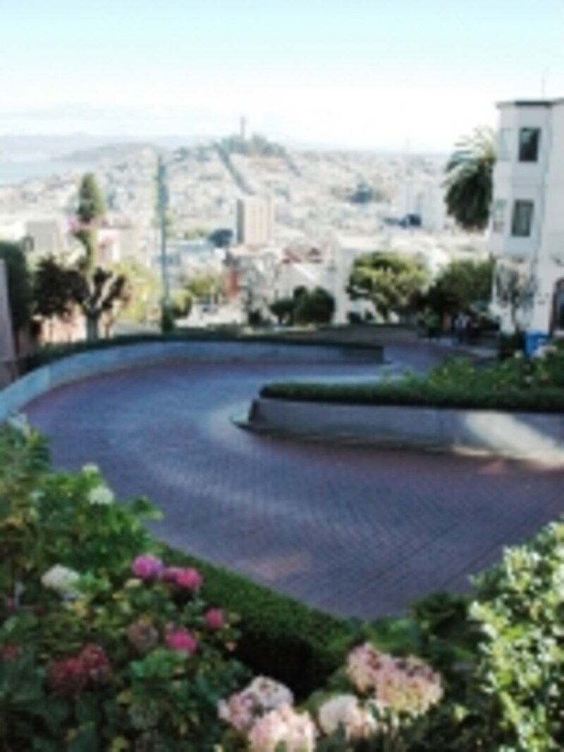 ロンバードストリート／サンフランシスコ [サンフランシスコ] All About