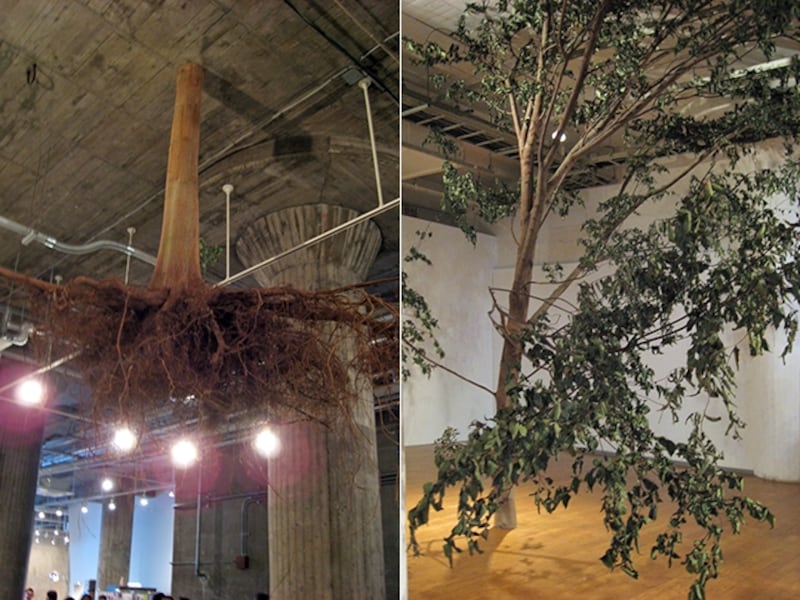 1~3階まで続いている、ヘンリック・ホーカンソン《根のついた木》2010/2011。ムクノキの根っこから木のてっぺんまで、天井を突き破っているような作品