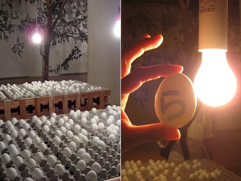 触ってみなくてはわからない作品も。Rivane NEUENSCHWANDER《Prosopopeia/Prosopopaea》2010/2011