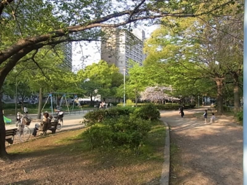 中津、コーポラス