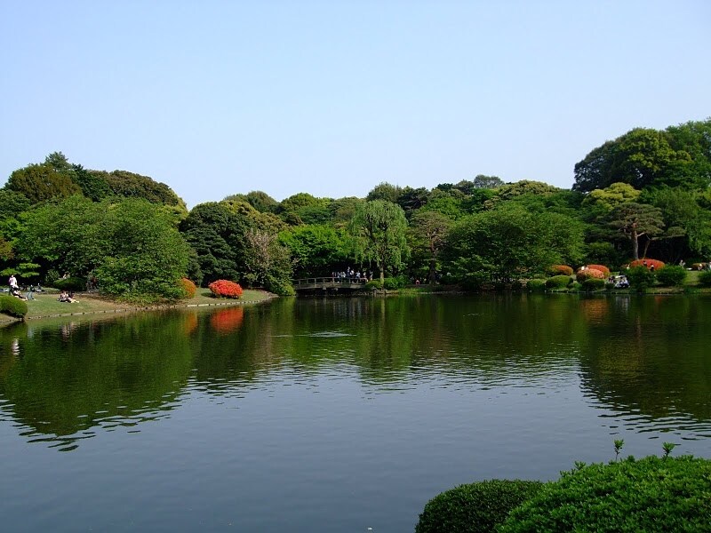 池の水に映る姿も美しい