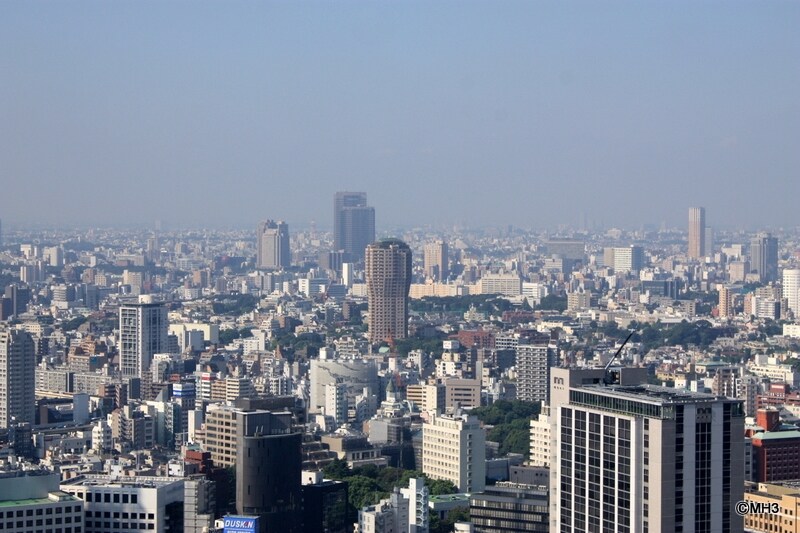 「元麻布ヒルズ」を愛宕方向から撮影