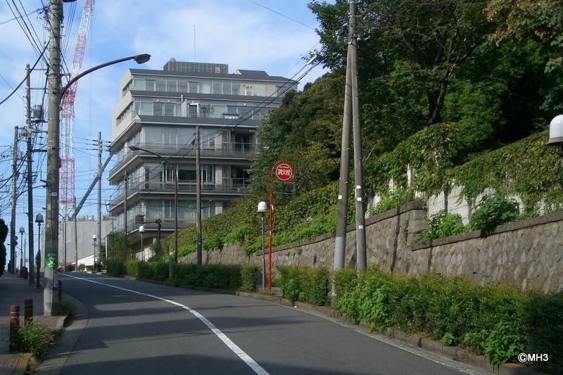 「パークハウス常磐松」手前が常陸宮邸