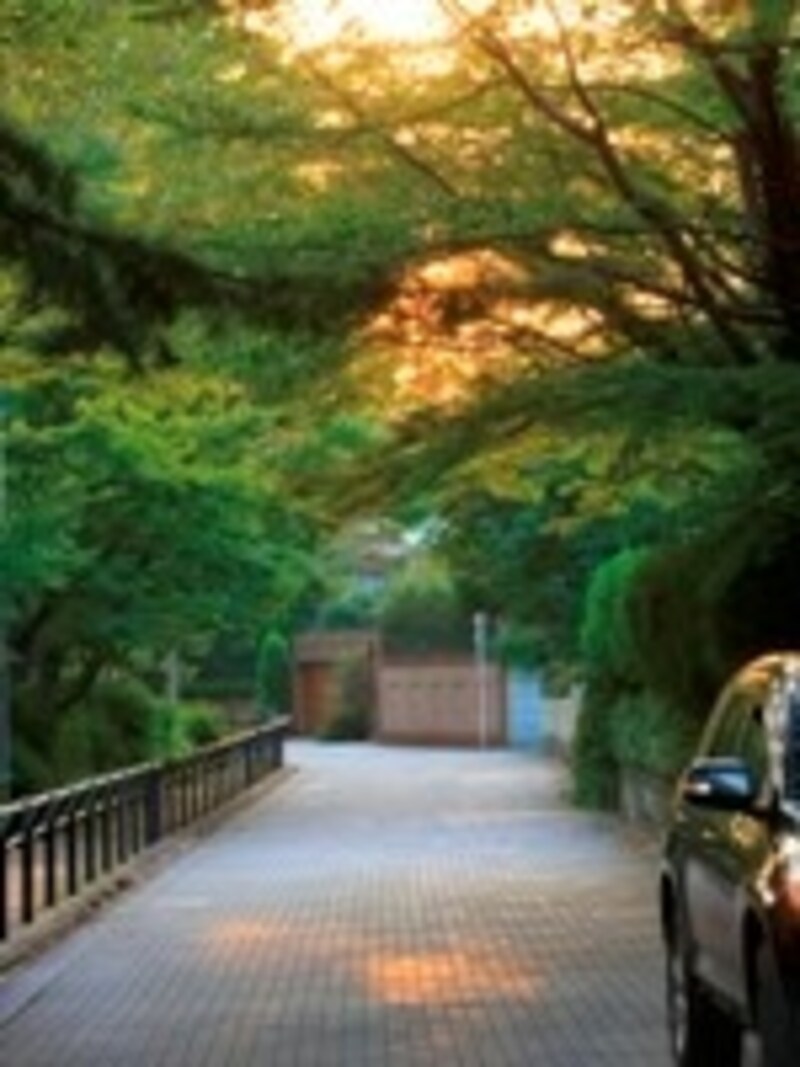 現地周辺(現地より約120m)