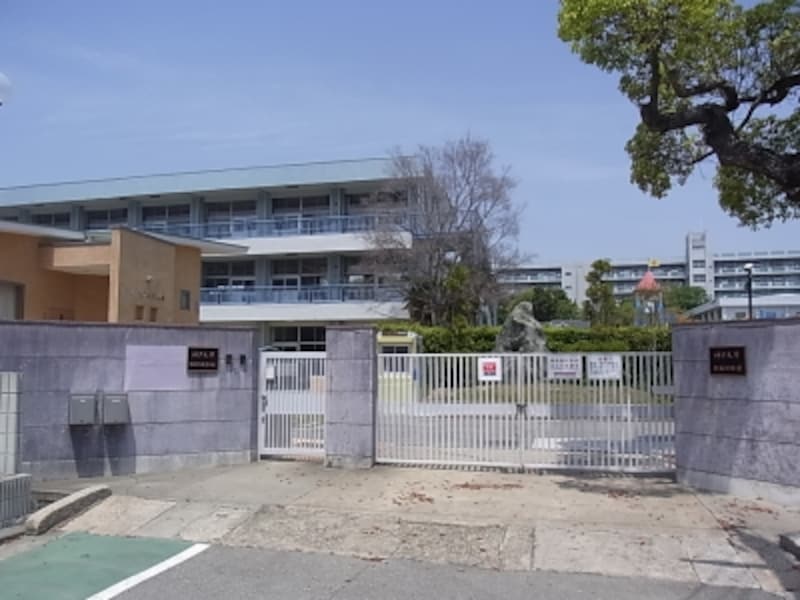 神大付属、明石