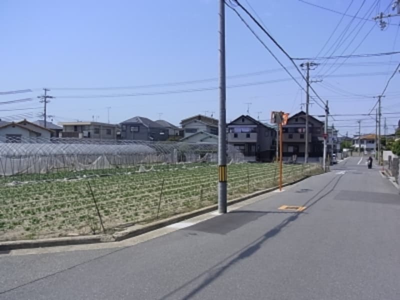 傾きがなだらかな明石公園北側の一角