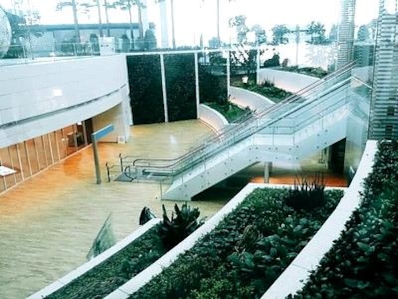 空港には珍しく、本物の植物が多く配置されている。壁面緑化も取り入れ、エコ要素だけでなくオシャレな印象も