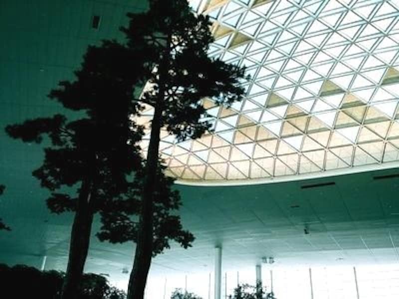 高い天井からは自然光が差し込んでいます。空港全体が明るいイメージ