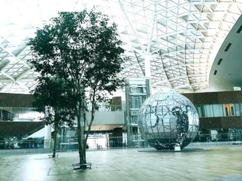 空港のイメージが少し変わりそう。植物はごく一部を除き全て本物です