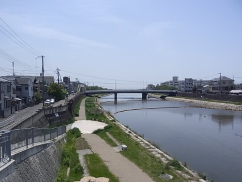 明石川の河川敷