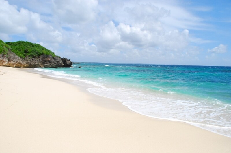 アラシッスヒダ