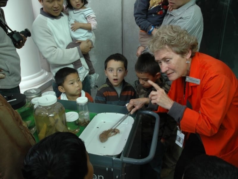 海の生き物についてのレクチャー中