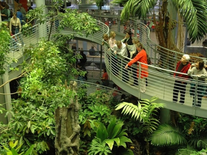 熱帯雨林の中を歩くと、汗びっしょりになる