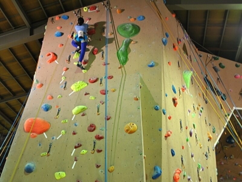 頂上を目指し、登って行く時の気分は高揚と達成感の入り混じった不思議な感覚です。