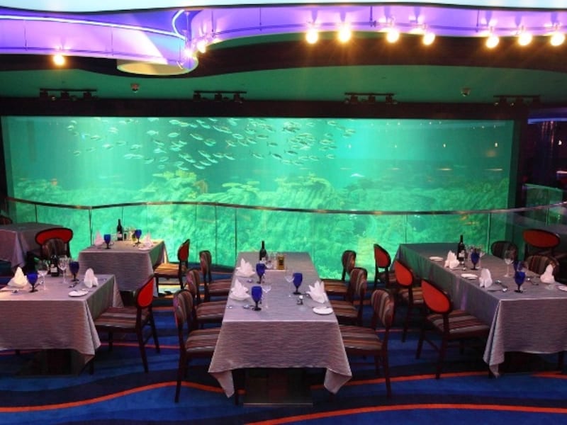 水槽際の席は予約した方がベター