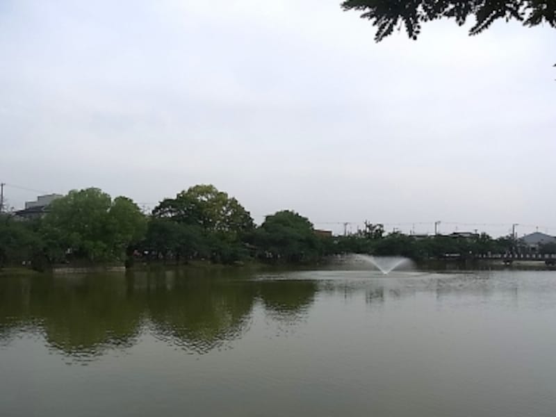 万代池公園