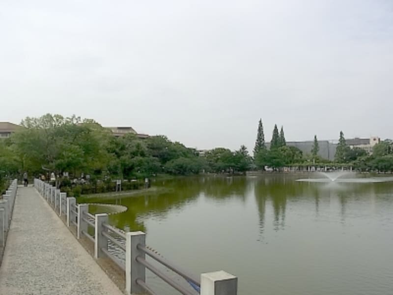 万代池公園