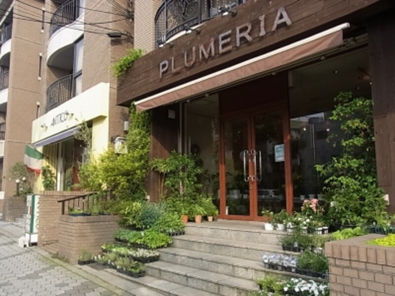 帝塚山のフラワーショップ