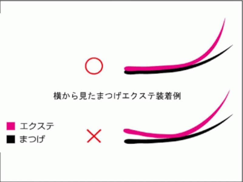 イラスト・横から見たまつげエクステの装着方法