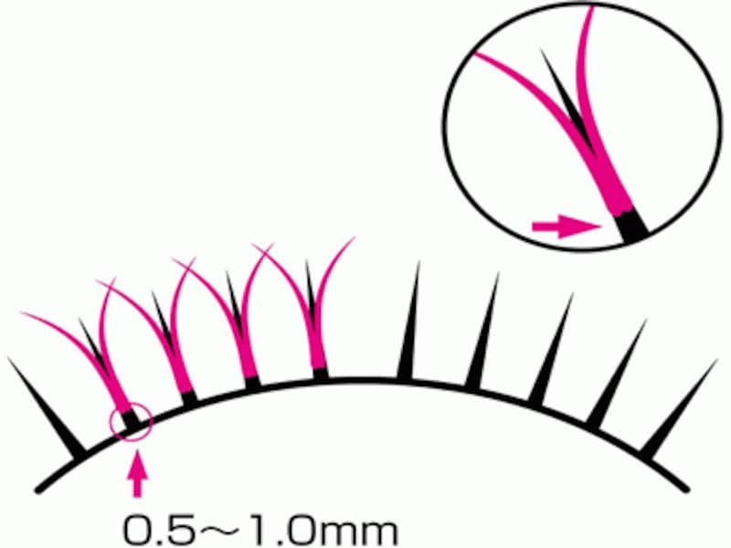 まつげエクステ装着の方法・イラスト