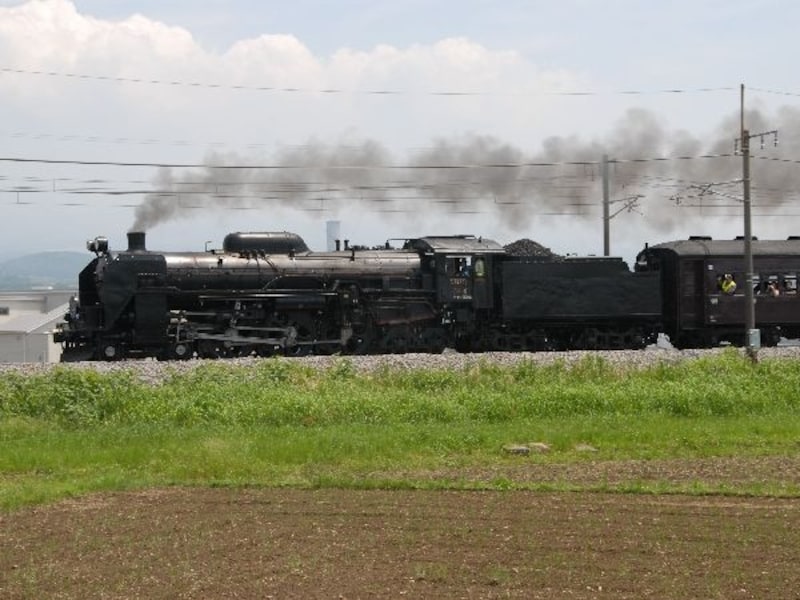 C61