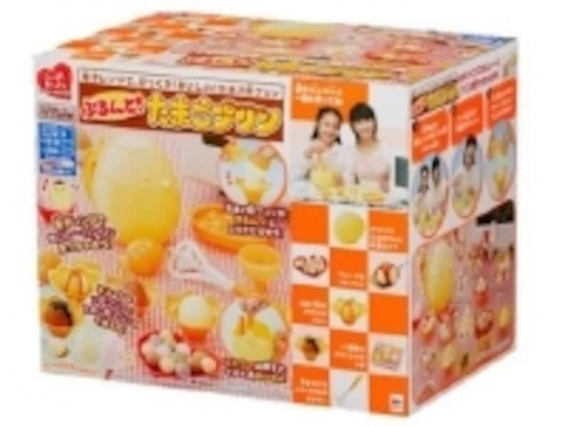 ココア味やごま味など、11種類のプリンと4種類の特製ソースのレシピ付き